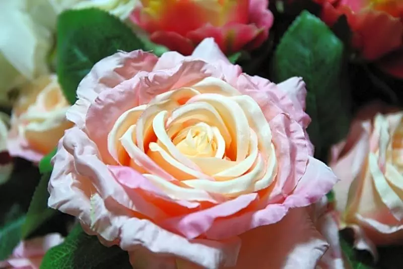 Fotos del hotel Tanee Place:  5