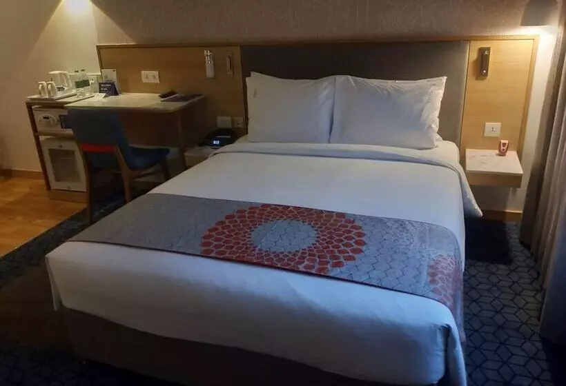 Fotos del hotel Holiday Inn Express Chennai Omr Thoraipakkam, An Ihg:  12