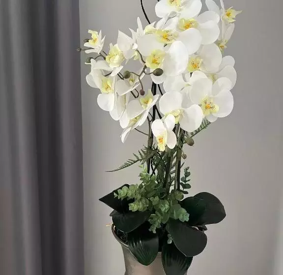 Fotos del hotel Santa Eulalia:  16