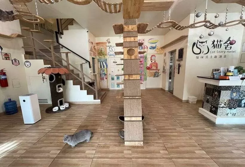 Fotos del hotel Cat Story:  13