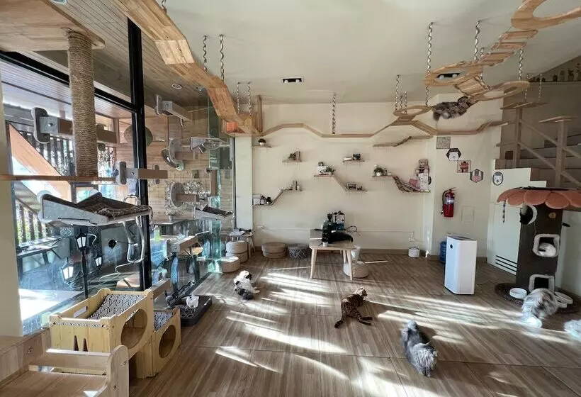 Fotos del hotel Cat Story:  11