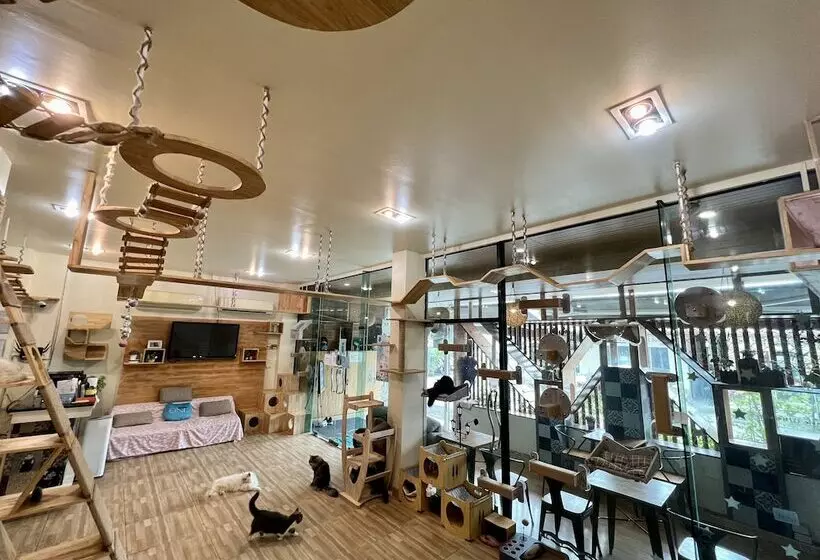 Fotos del hotel Cat Story:  18