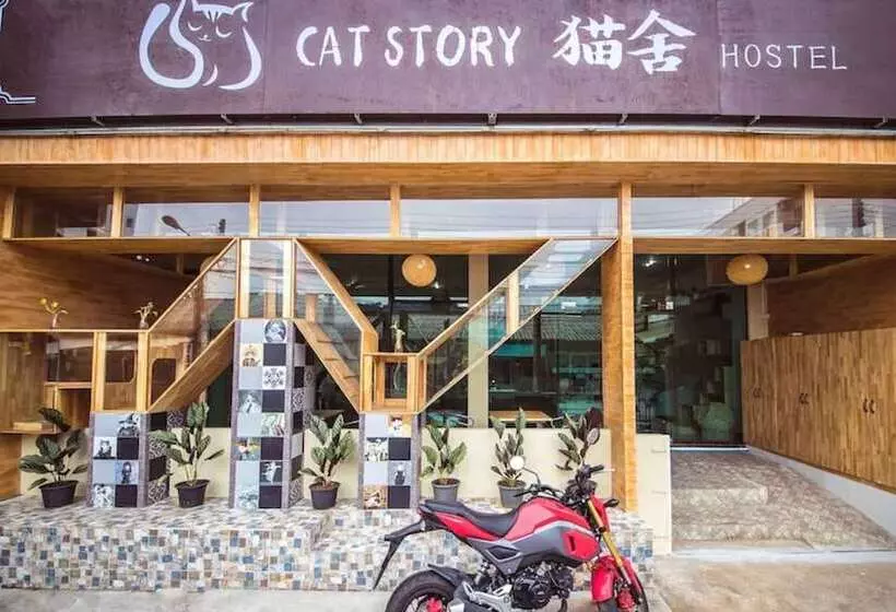 Fotos del hotel Cat Story:  25