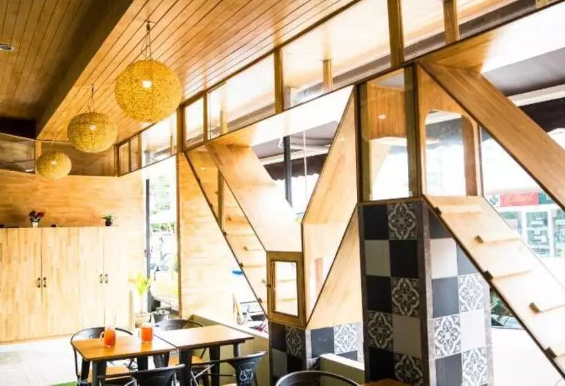 Fotos del hotel Cat Story:  5