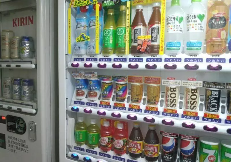 Fotos del hotel Green Rich  Kagoshima Tenmonkan:  17