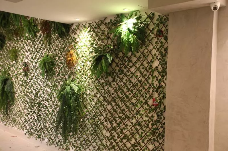 Fotos del hotel Crocobeach:  8