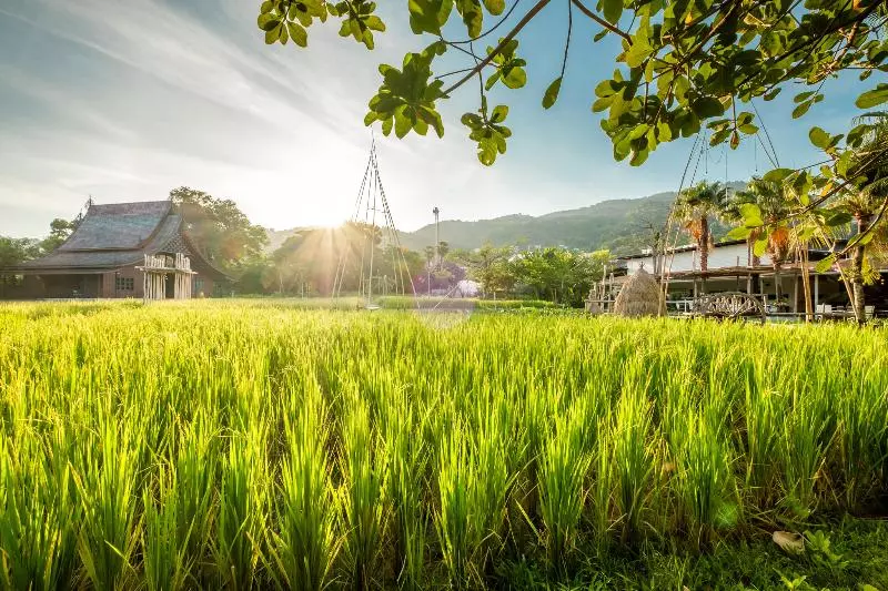 Fotos del hotel Naina Resort & Spa  Sha Plus:  14