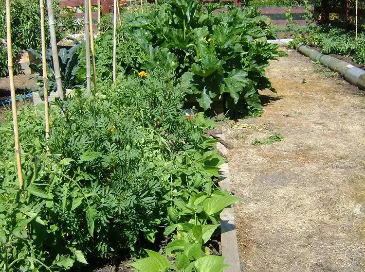 Fotos del hotel Esk Valley Lodge:  6