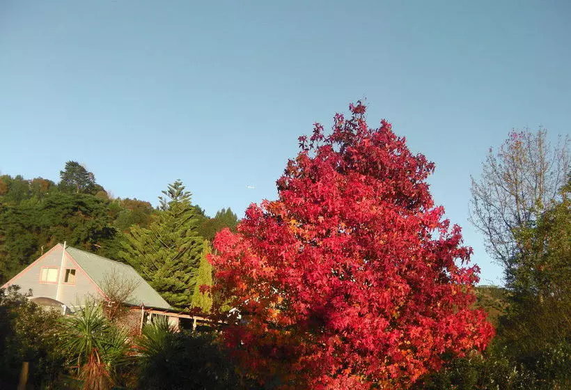 Fotos del hotel Esk Valley Lodge:  19