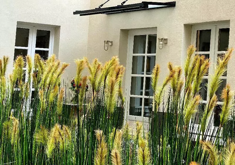 Fotos del hotel La Lanterne:  17