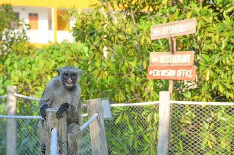Fotos del hotel Reef & Beach Resort:  7