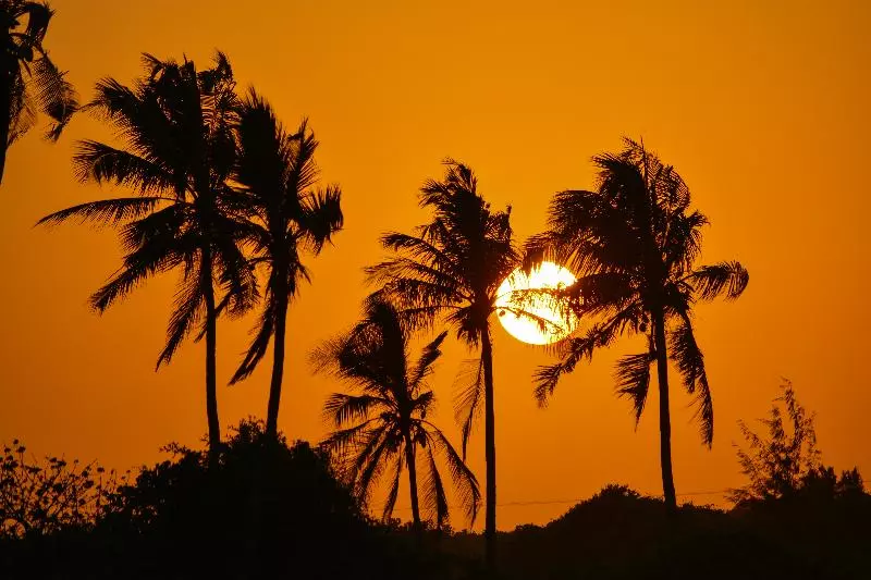 Fotos del hotel Reef & Beach Resort:  5