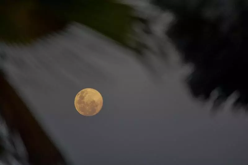 Fotos del hotel Reef & Beach Resort:  2