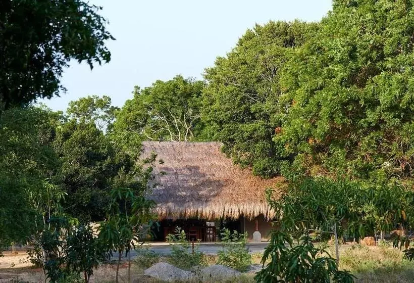 Fotos del hotel Koragaha Lodge:  13