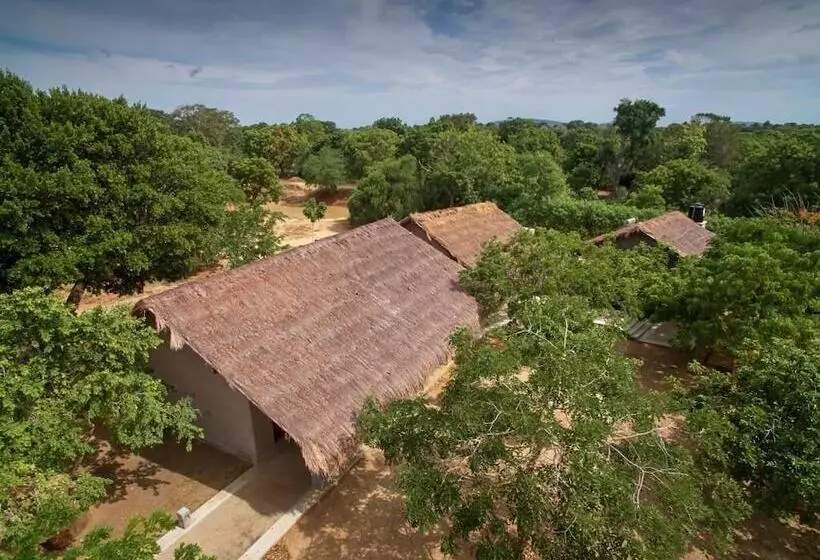 Fotos del hotel Koragaha Lodge:  9