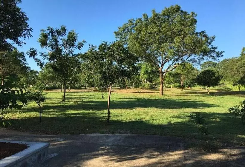 Fotos del hotel Koragaha Lodge:  5