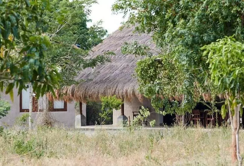 Fotos del hotel Koragaha Lodge:  23