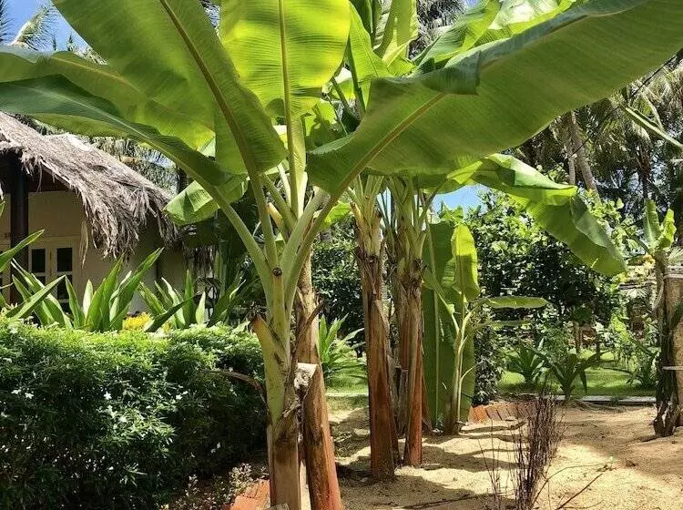 Fotos del hotel Peppercorn Beach:  5