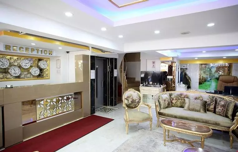 Fotos del hotel Metrolux:  6