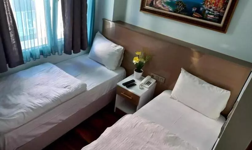 Fotos del hotel Metrolux:  5