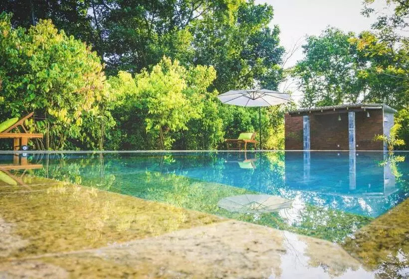 Fotos del hotel Garcinia Leaf:  3