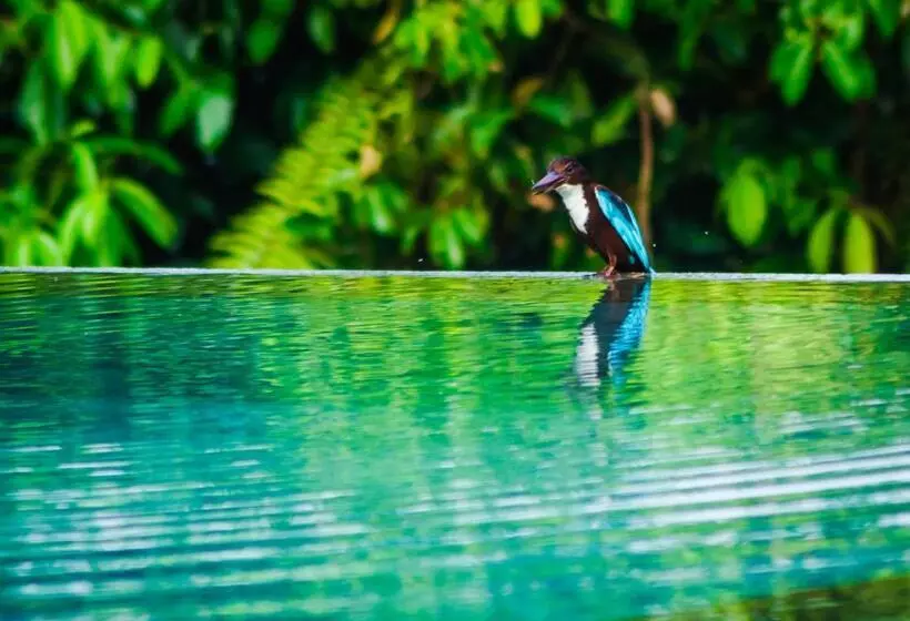 Fotos del hotel Garcinia Leaf:  7