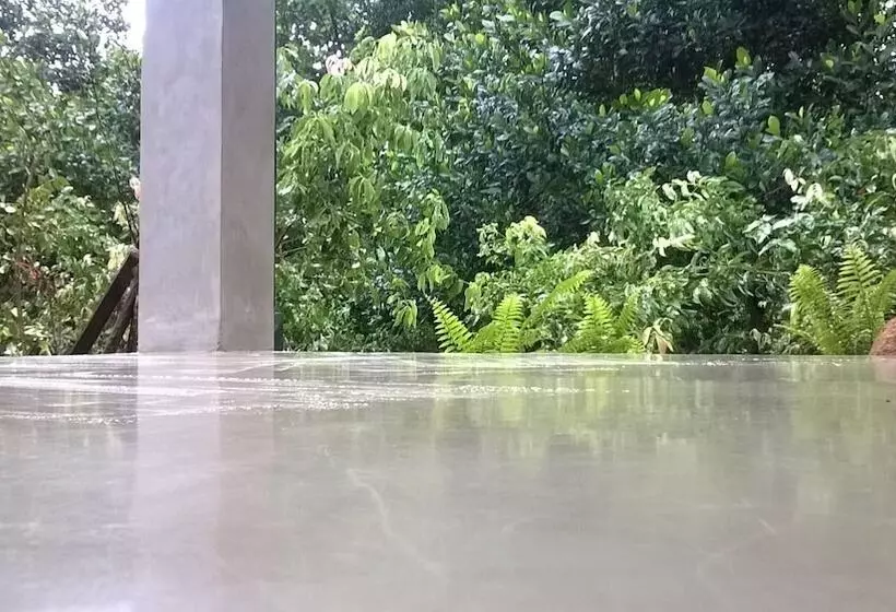 Fotos del hotel Garcinia Leaf:  25