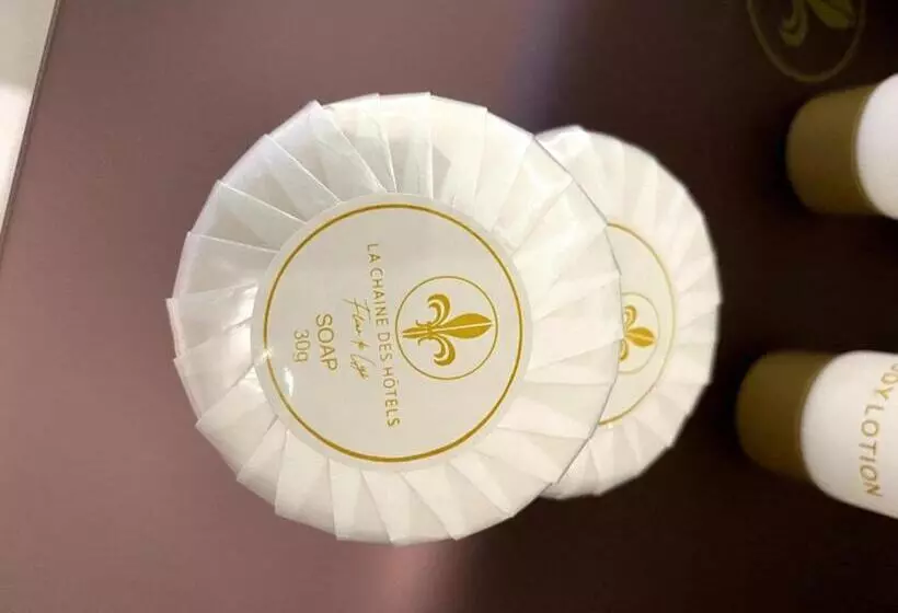 Fotos del hotel Hôtel Fleur De Lys Plateau:  18