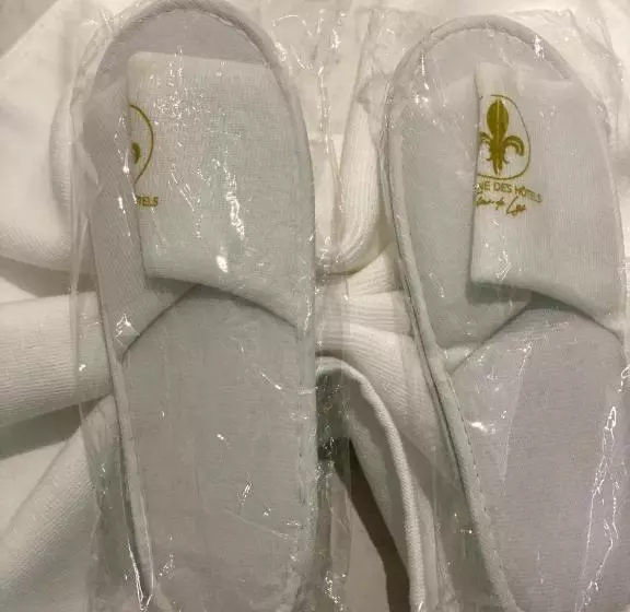 Fotos del hotel Hôtel Fleur De Lys Plateau:  12