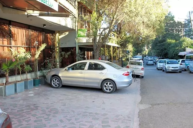 Fotos del hotel Lobelia:  9