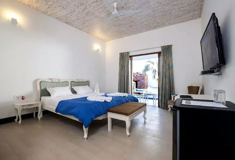 Fotos del hotel Pirache Art:  9