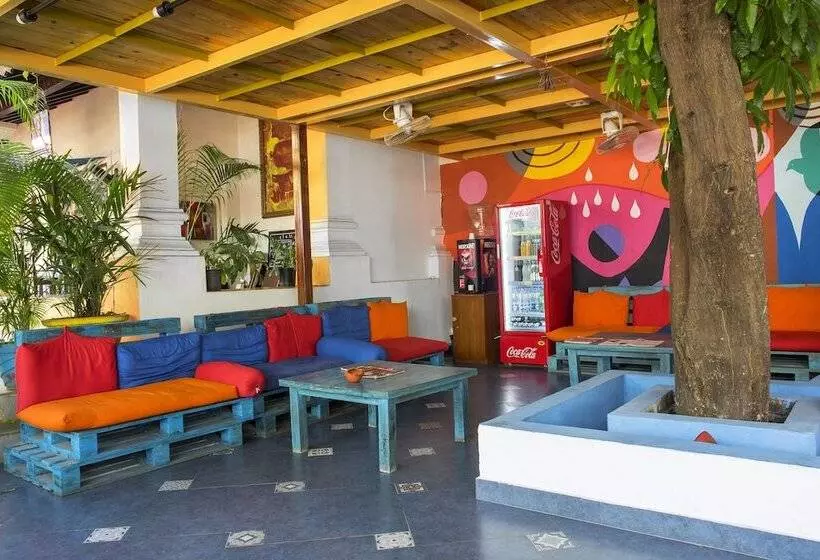 Fotos del hotel Pirache Art:  5