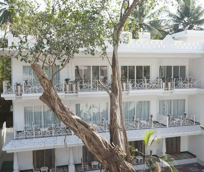 Fotos del hotel Pirache Art:  17