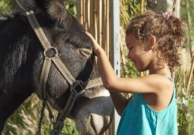 Fotos del hotel Mandarin Oriental, Marrakech:  7
