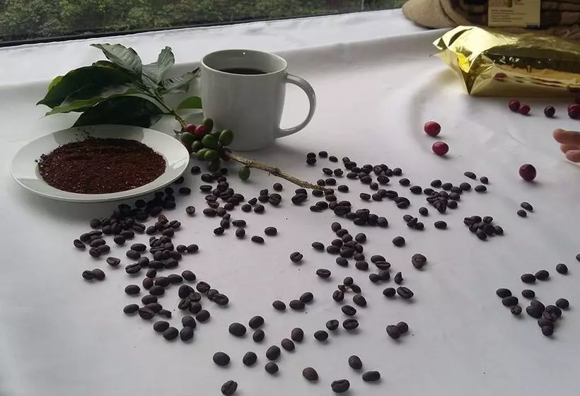 Fotos del hotel Y Restaurante Eco Chibulbut:  13