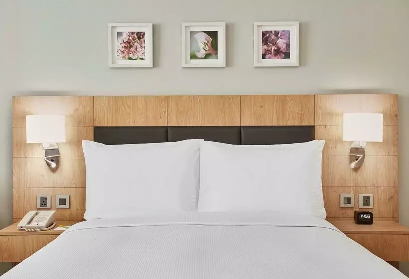 Fotos del hotel Hilton Garden Inn Dubai Mall Of The Emirates:  22