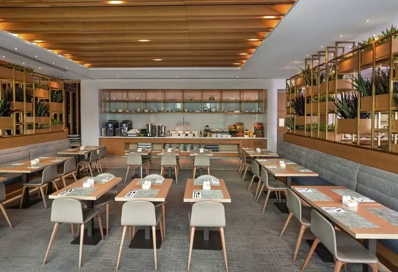 Fotos del hotel Hilton Garden Inn Dubai Mall Of The Emirates:  11