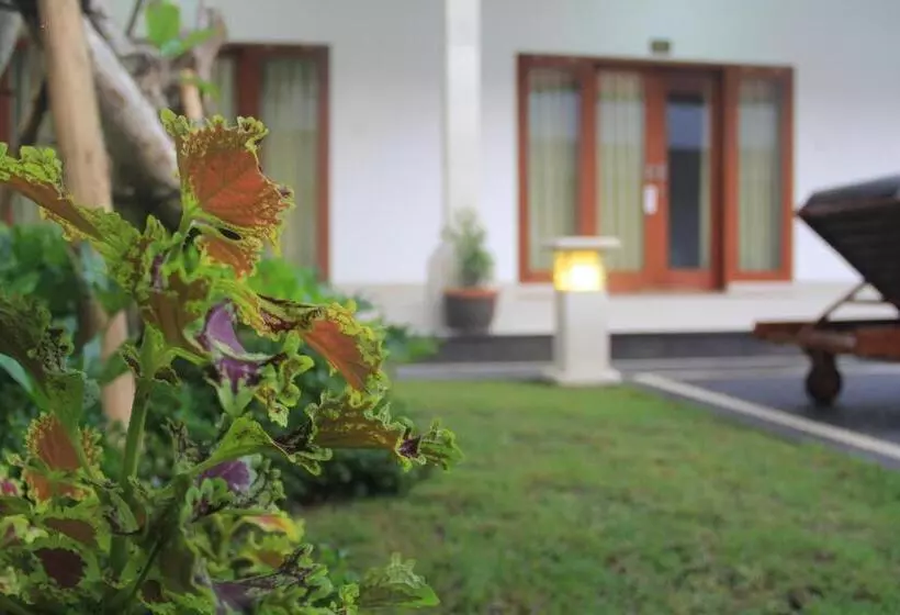 Fotos del hotel Anggie Stay:  14