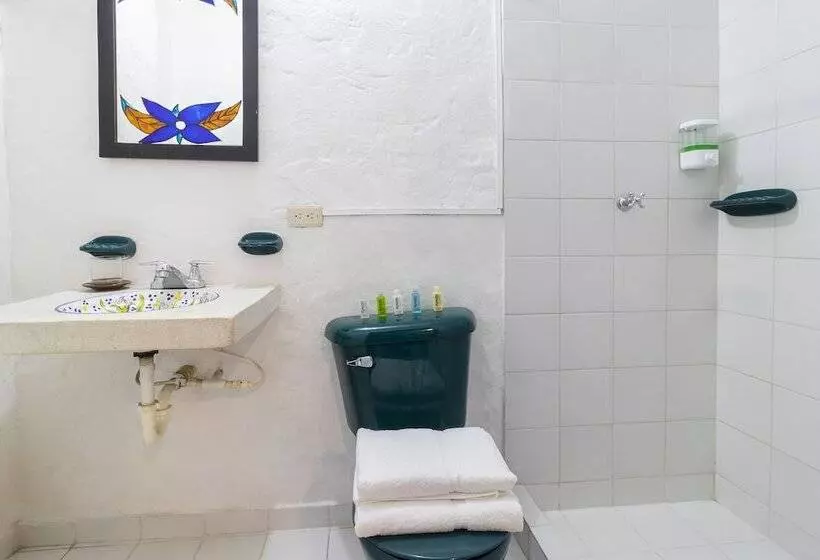 Fotos del hotel Ayenda 1701 Casa Corona:  3