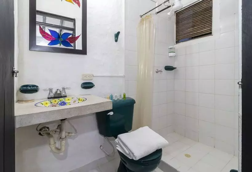 Fotos del hotel Ayenda 1701 Casa Corona:  6