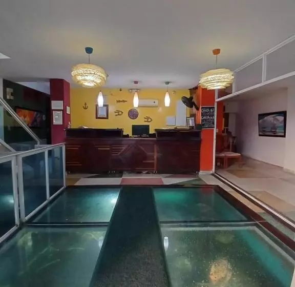 Fotos del hotel Bahia Plaza:  4