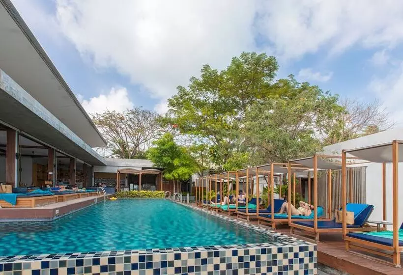 Fotos del hotel Casa De Mar:  2