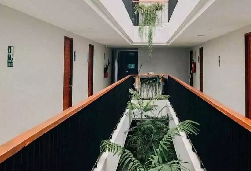 Fotos del hotel Casa De Mar:  3