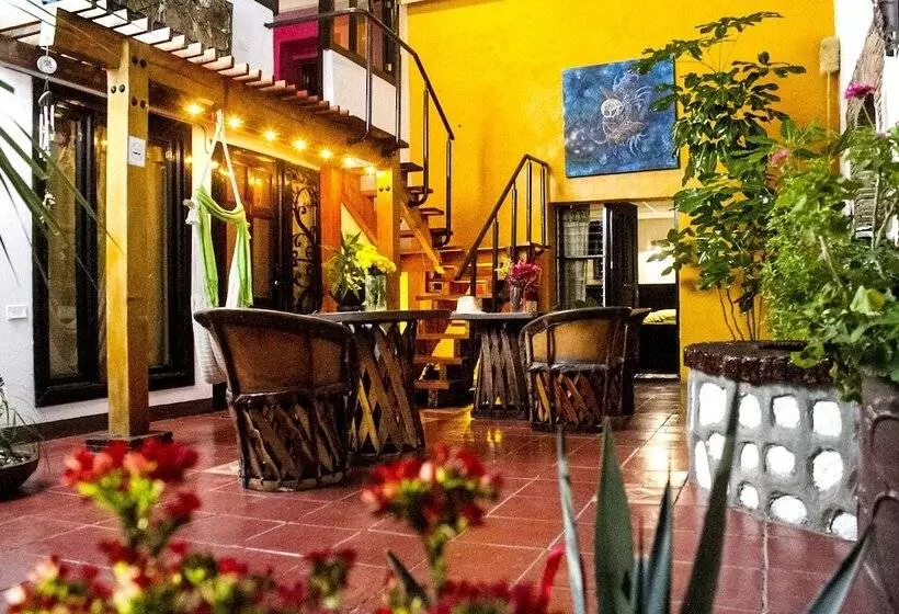 Fotos del hotel Casa Rua:  6