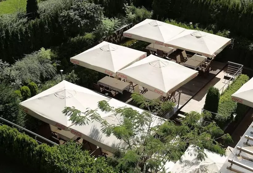 Fotos del hotel Olives City:  20