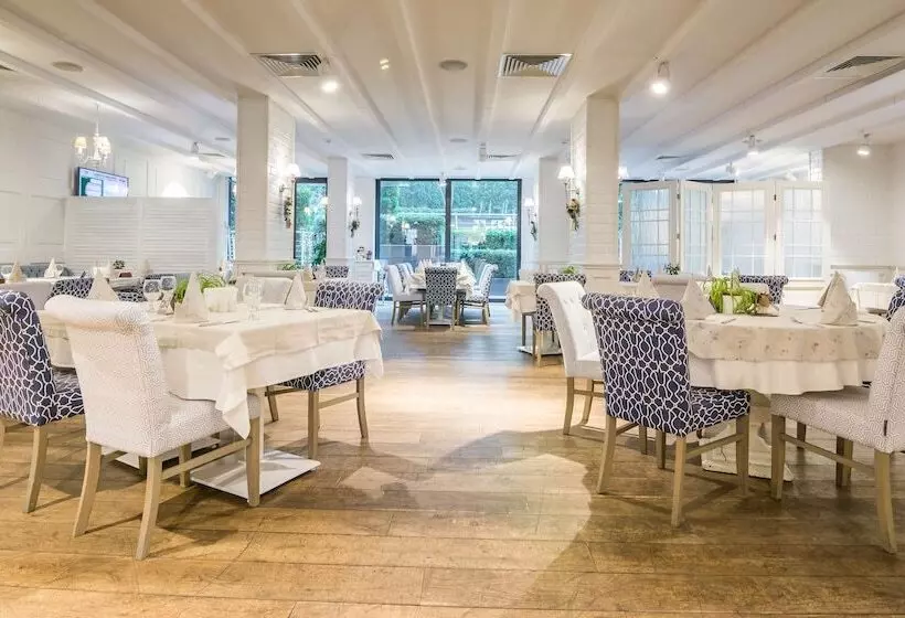 Fotos del hotel Olives City:  21