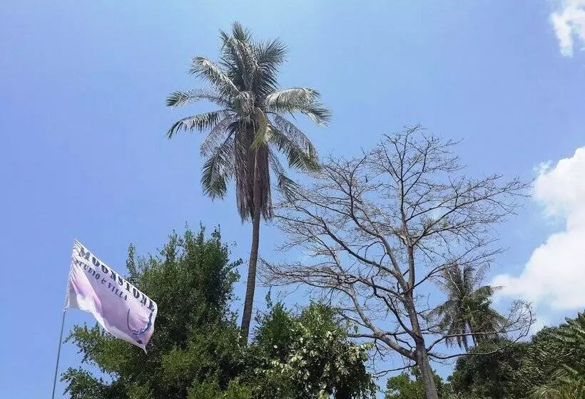 Fotos del hotel Moonstone Studio:  19