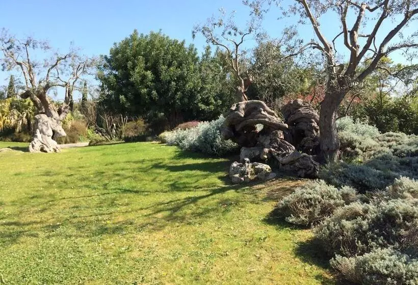 Fotos del hotel Seven Maze Charming House:  14