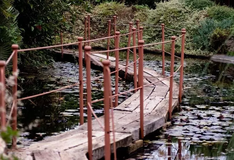 Fotos del hotel Seven Maze Charming House:  15