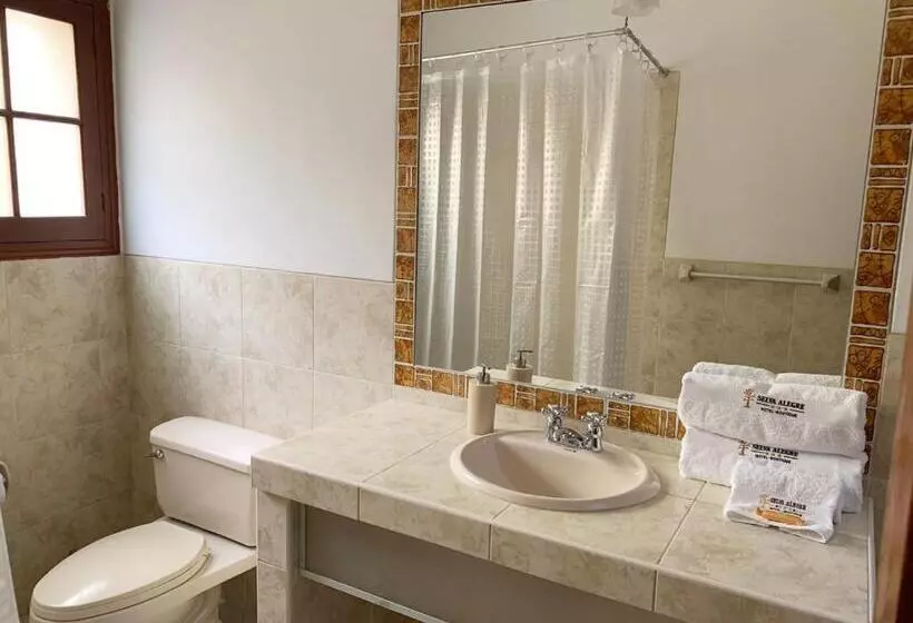 Fotos del hotel Boutique Selva Alegre:  9